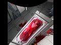 Event Horizon Game Fully Playable Mod On Doom3Quest NSFW