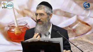 הרב יצחק יוסף - הלכות ראש השנה תשפ"ו (ארגון ענפים) - התמונה מוצגת ישירות מתוך אתר האינטרנט יוטיוב. זכויות היוצרים בתמונה שייכות ליוצרה. קישור קרדיט למקור התוכן נמצא בתוך דף הסרטון