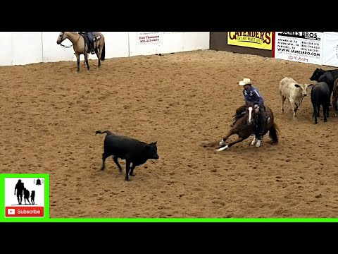 Cutting Horses Class 3 Open Set 2 - 2020 Metallic Cat West Texas Futurity