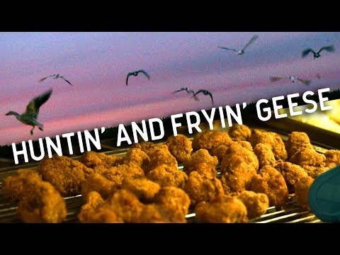 download lagu mp3 mp4 Fried Goose, download lagu Fried Goose gratis, unduh video klip Fried Goose