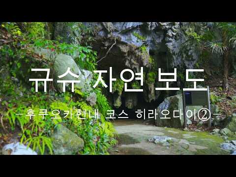 규슈 자연보도 후쿠오카현 히라오다이 코스②