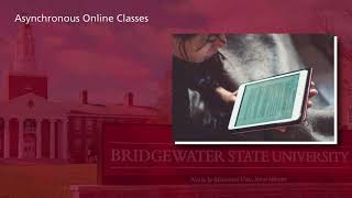 BSU Online Course Formats