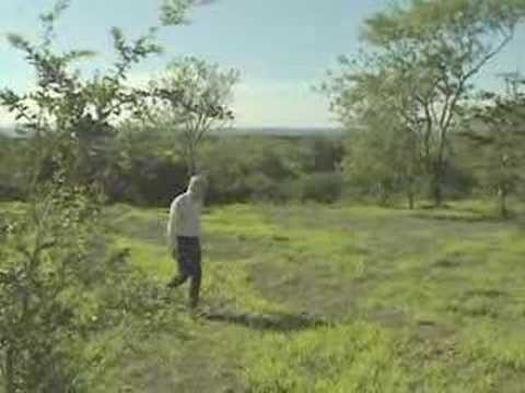 ガラパゴス：ダーウィン到着 (2/7) (Galapagos: Darwin's arrival (2/7))