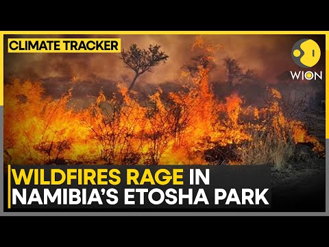 Namibia Fires Threaten Wildlife And Habitat In Etosha National Park | WION Climate Tracker