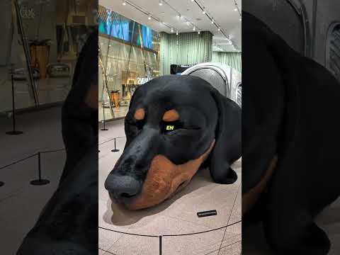 Le centre commercial protégé par un “chien géant”