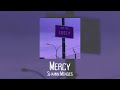 Mercy - Shawn Mendes (best part remix)