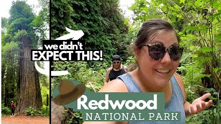 UNEXPECTED Destinations in REDWOOD NATIONAL PARK! Fern Canyon, Prairie Creek SP and Lady Bird Loop #nationalParkWeek gameplay video by alucas, 20:29 duration