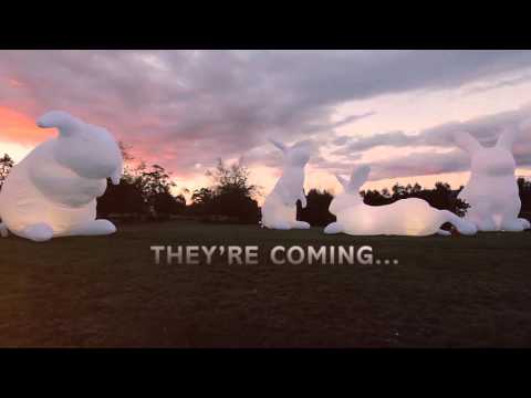 INTRUDE: They're coming....