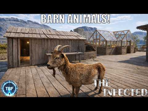Our First Barn Animals!  The Infected Day 22