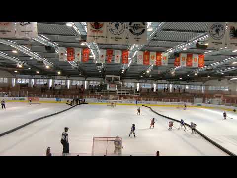 SteelBullsCup 2022   Corona Brasov U8 vs Vasas Budapest