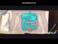 Imodium TVC
