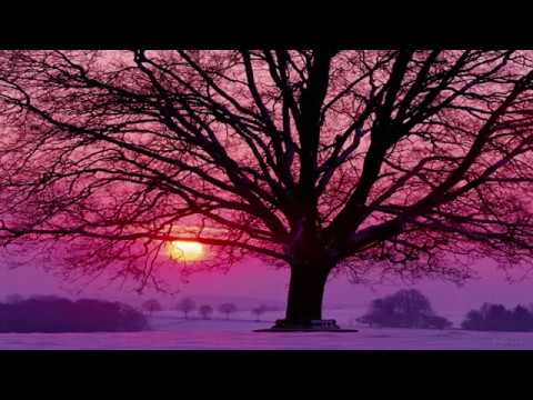 Richard Clayderman   Love song in winter Winter Sonata