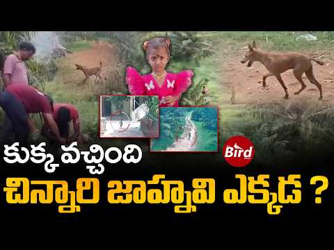 Kakinada Jahnavi Missing Case : కుక్క వచ్చింది..చిన్నారి జాహ్నవి ఎక్కడ? Kakinada Jahnavi Missing