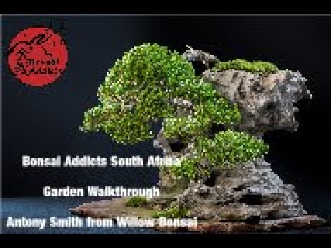Garden walk through - Antony Smith