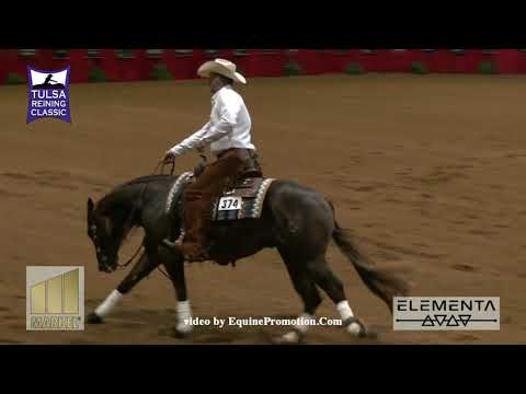 Mr Royal Hollywood shown by Brian Bell   2019 Tulsa Reining Classic Open Derby