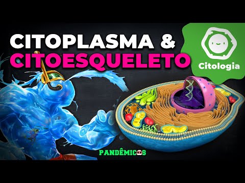 Citoplasma e Citoesqueleto