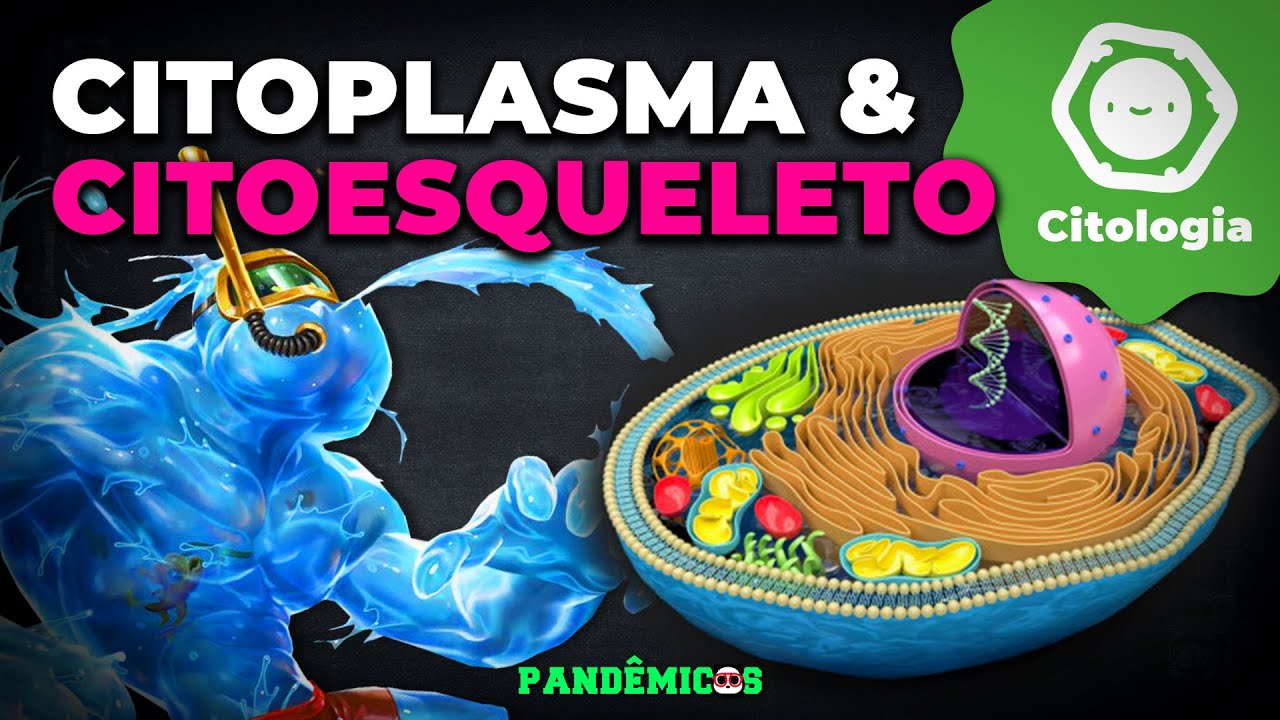 Citoplasma e Citoesqueleto