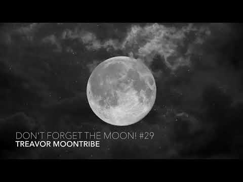 Don't Forget The Moon! 29 - TREAVOR MOONTRIBE