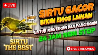 Download lagu Pancingan Sirtu/cipoh Paling Ampuh BIKIN EMOSI lawan mp3