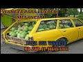 VINHETA PARA VENDER MELANCIA LARANJA E ABACAXI