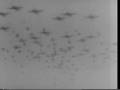 Air Army Invades Nazi Germany; Pattons 3rd Army.