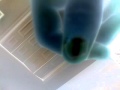 Fingering