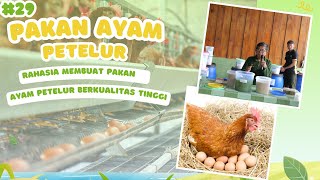 Download lagu Bayu Diningrat ~ Rahasia membuat Pakan ayam petelur berkualitas tinggi mp3
