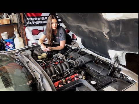C5 Corvette Ratty Drag Car Part 2: cleaning up the engine bay with Granatelli Motorsports