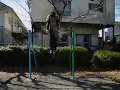 40 muscle ups 　成嶋武のマッスルアップ４０回