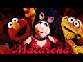 Muppet Mashups Macarena Mashup The Muppets Vs Sesame Street