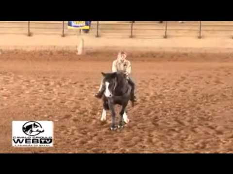 Isabela Fernandes Quero-Quero do purunã