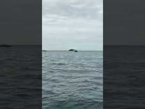 Pattaya !! Sea !! Saiyaara shorts #sea #waterbike!! Sea beach