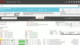 Race Lens Quick Tutorials - Viewing A Horse's Next Start Performance in Charts