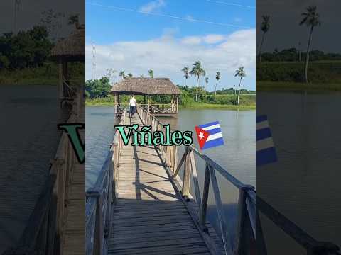 Viñales 🇨🇺🌿