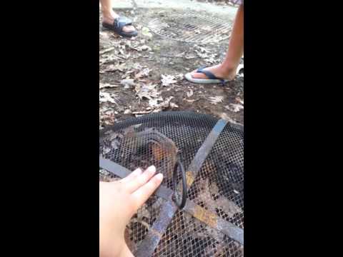 Finding Alvin part 2