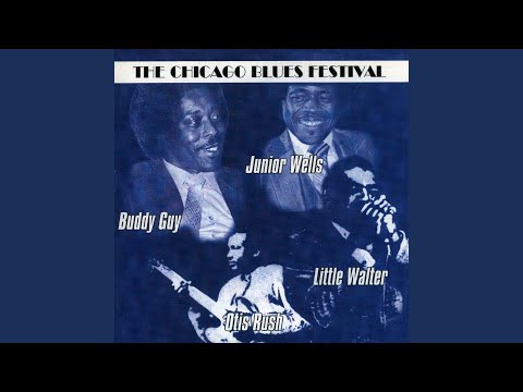 Everyday I Have the Blues - Buddy Guy