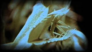 Davenport Cabinet - Our Machine