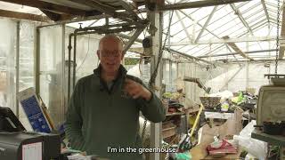 The Post Office Inside a Greenhouse 🌿 | Places of the Post Office (Episode 1)