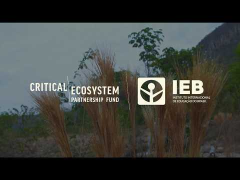 Rio Almas e as Redes de Conservação na Chapada dos Veadeiros