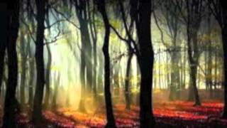 Whispers In the Wind