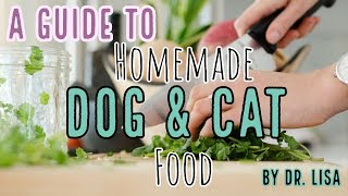 A Guide to Homemade dog & cat food | Veterinarian Dr. Lisa discusses (2019)