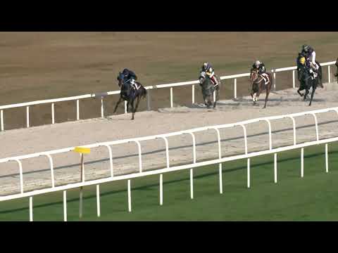 2019.11.03. 06. futam - BENSON VILMOS EMLÉKVERSENY - NEMZETKÖZI LOVASUTÁNPÓTLÁS HENDIKEP (V.o.)