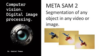 Meta SAM 2 Video Segmentation