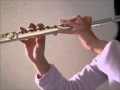 Kyouhansha [共犯者] - Hirakawa Daisuke (flute cover ...