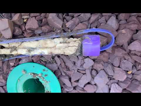 Sentricon® Termite Stations Are Working in Hillsborough, NJ