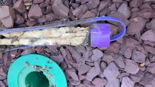 Sentricon® Termite Stations Are Working in Hillsborough, NJ