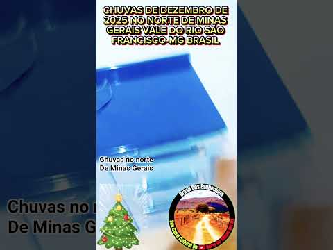 ZÉCA MATUTO DA SELVA EM CHUVAS NO NORTE DE MINAS GERAIS MG+BRAZIL #vidanosertão