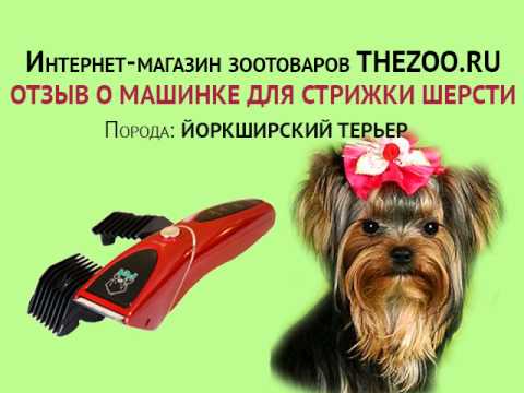 Отзыв: Марина Василюк, машинка Codos CP-8000, порода - йоркширский терьер