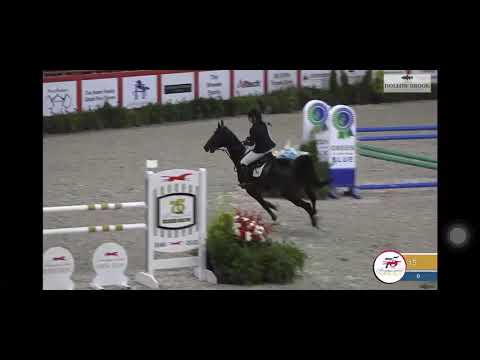 Nintendo Clear Jump Off $30,000 1.30m Grand Prix at the Pennsylvania National Horse Show 2021