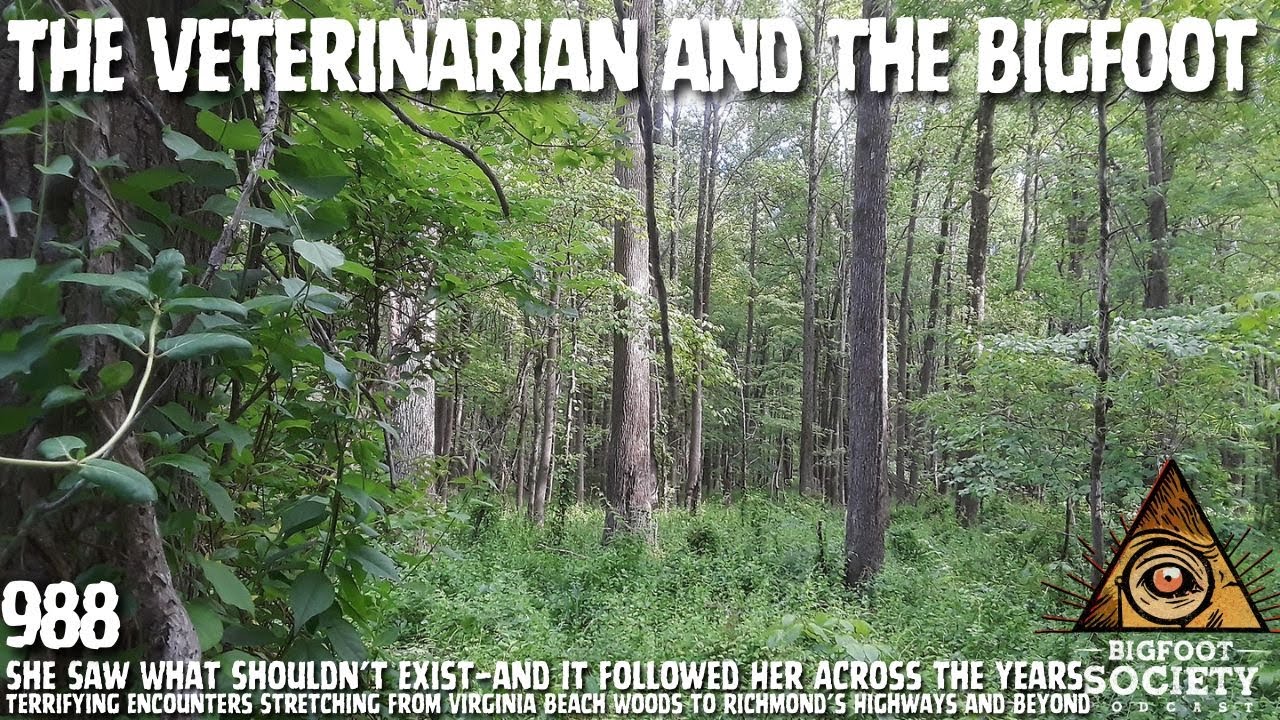 Bigfoot Follows Veterinarian Across Virginia—and Her Reality Is Shattered